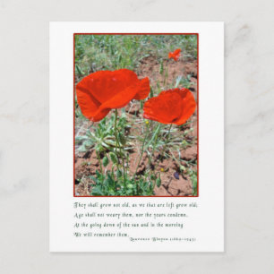 Carte Postale Souvenir