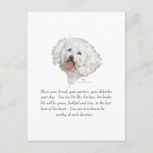 Carte Postale Souvenir, Chien Mâle