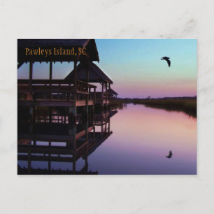 Carte postale Souvenir de Pawleys Island