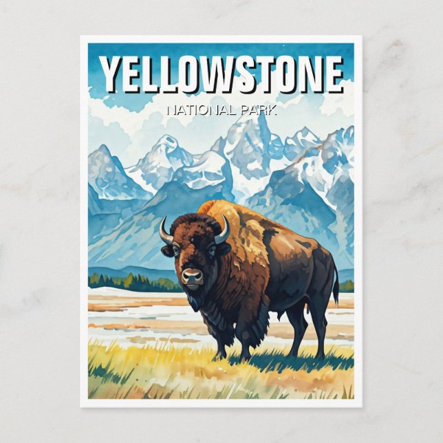 Carte Postale Souvenir du parc national de Yellowstone (Devant)