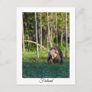 Carte postale souvenir nature Finlande