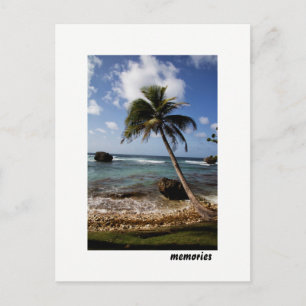 Carte Postale Souvenirs de paysage marin de Bathsheba à la Barba