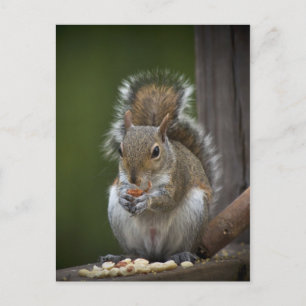 Carte Postale Soyez Très Calme