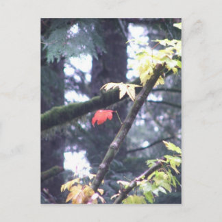 Carte Postale Soyez vous-même