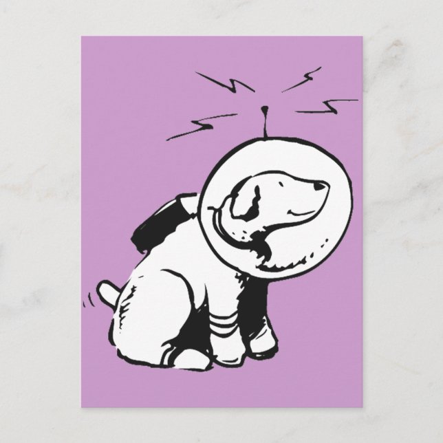 Carte Postale Space Chien (Devant)