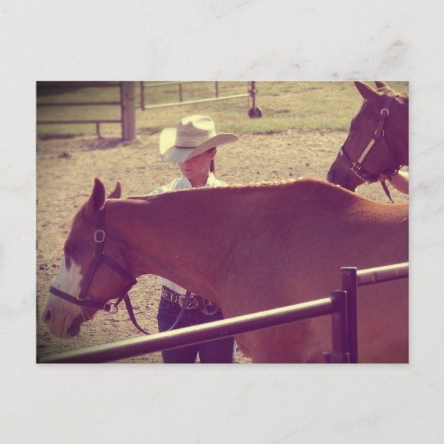 Carte Postale Spectacle hippique (Devant)