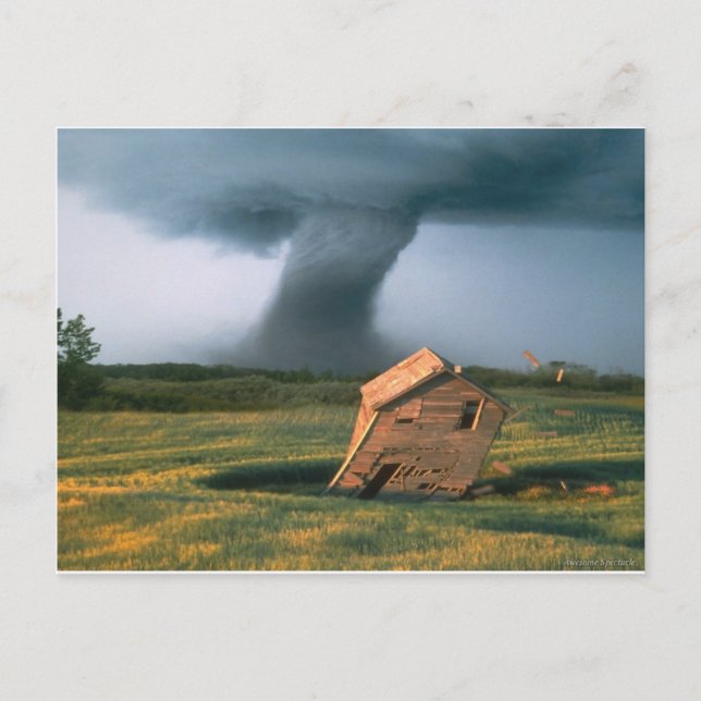 Carte Postale Spectacle magnifique (Devant)