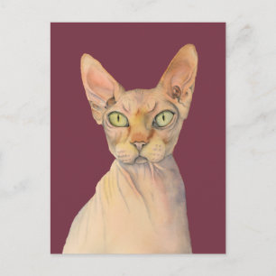 Carte Postale Sphynx Chat Aquarelle Portrait