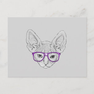 Carte Postale Sphynx ringard Geeky drôle avec les verres