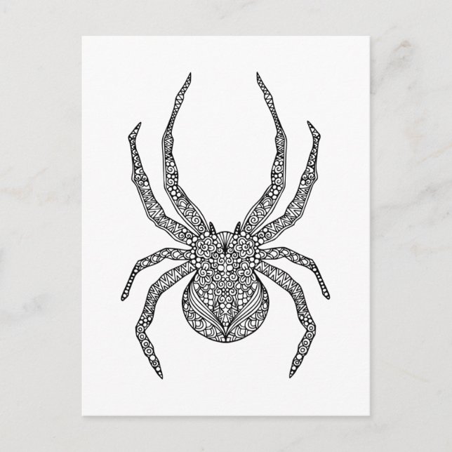 Carte Postale Spider Doodle (Devant)