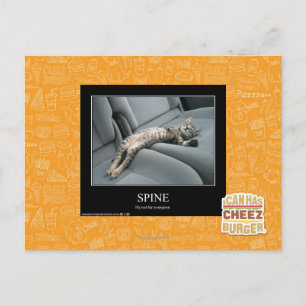 Carte Postale Spine