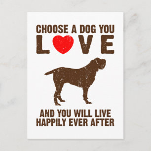 Carte Postale Spinone italienne