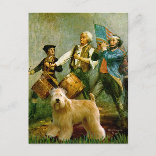 Carte Postale Spirit of 76 - Wheaten Terrier 2B (Devant)