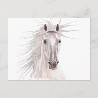Carte Postale Spirit of the Wind Horse -vintage-