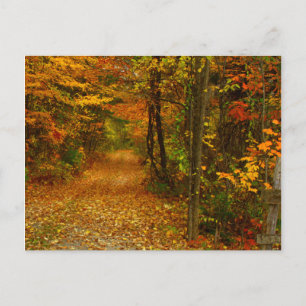 Carte Postale Splendor d'automne en Nouvelle-Angleterre