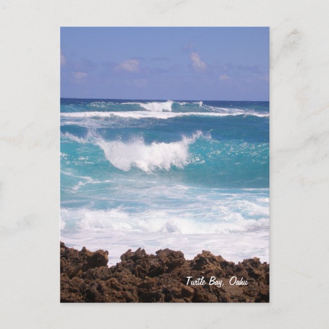 Carte postale Splish Splash (Devant)