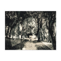 Spooky ghost in the woods image postcard