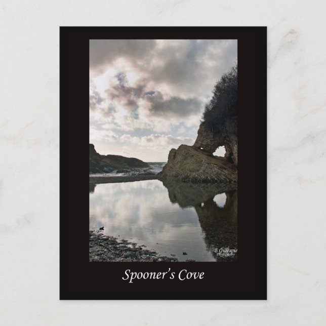 Carte Postale Spooner's Cove en Californie (Devant)