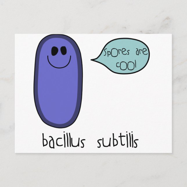 Carte Postale Spore (Devant)