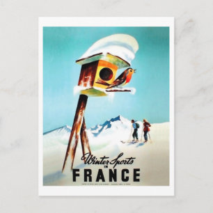 Carte Postale Sports d'hiver en France, petit oiseau chez elle