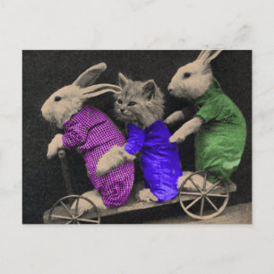 Carte Postale Sports extrêmes