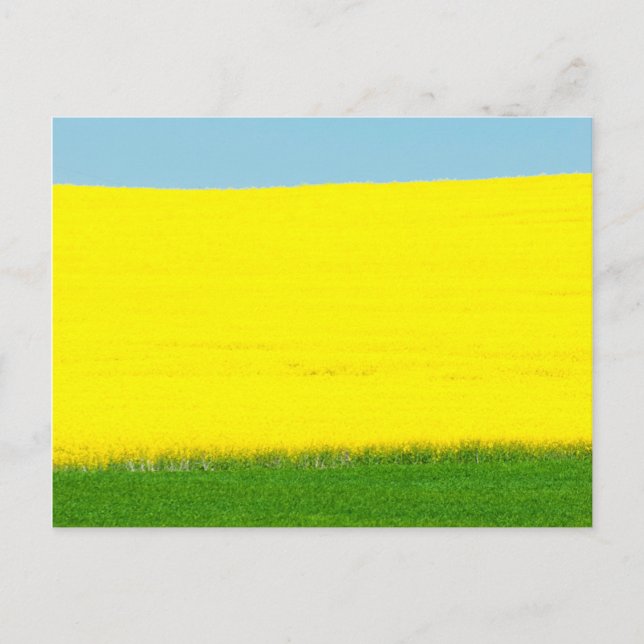Carte Postale Spring (Devant)