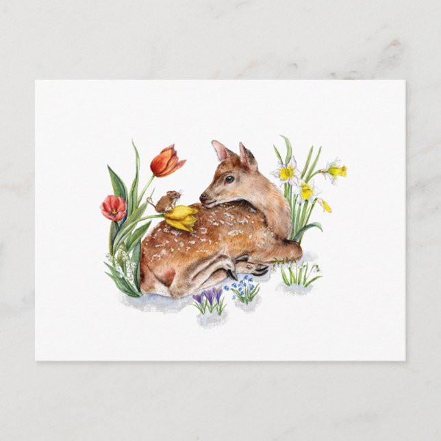 Carte Postale Spring Deer (Devant)