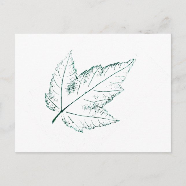 Carte postale "Spring Maple" (Devant)