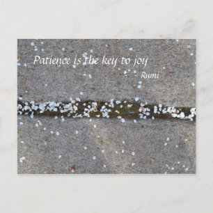 Carte Postale Spring Petals