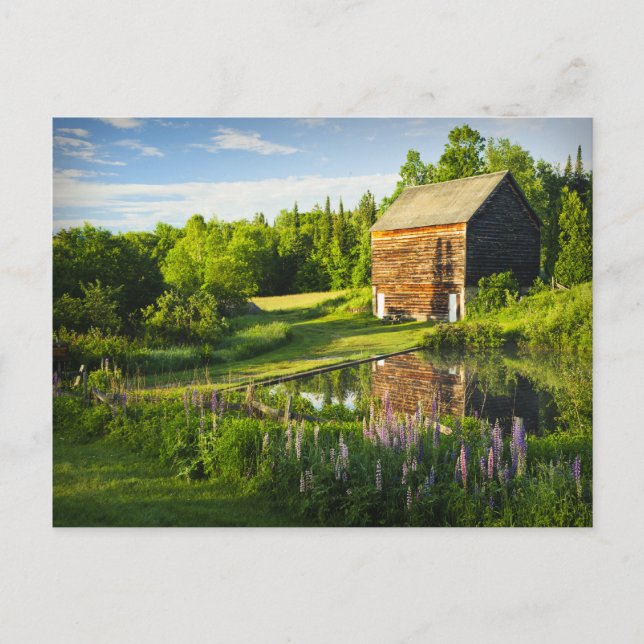 Carte Postale Spring Reflections in the Adirondacks, N.Y. (Devant)