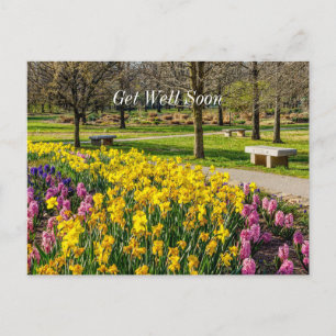 Carte Postale Spring Season Flower Garden Get Well Soon