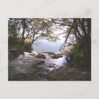 Carte Postale Springbrook