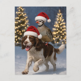 Carte Postale Springer Spaniel and Partridge Christmas postcard
