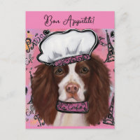 Springer Spaniel anglais
