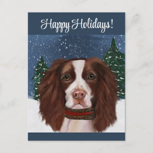 CARTE POSTALE SPRINGER SPANIEL ANGLAIS