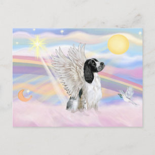Carte Postale Springer Spaniel Anglais