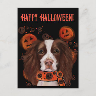 Carte Postale Springer Spaniel Anglais
