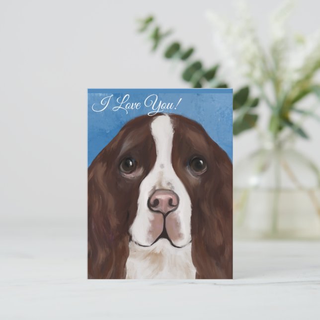 CARTE POSTALE SPRINGER SPANIEL ANGLAIS    (Debout devant)