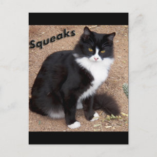 Carte Postale Squeaks