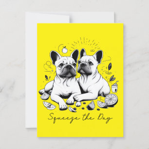 Carte Postale Squeeze Le Jour
