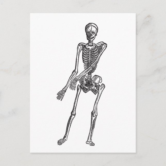 Carte Postale Squelette (Devant)