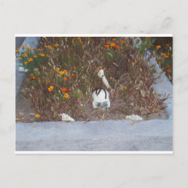 Carte Postale Squelette à Marigolds