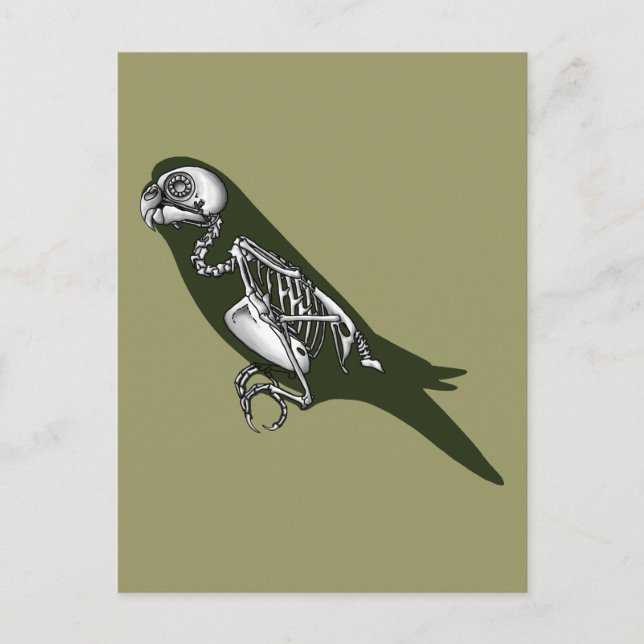 Carte Postale Squelette Budgie (Devant)