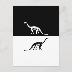 Carte Postale squelette de camarasaurus