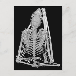 Carte Postale Squelette de chauve-souris gothique