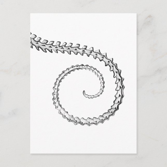 Carte Postale squelette de lézard vintage (Devant)