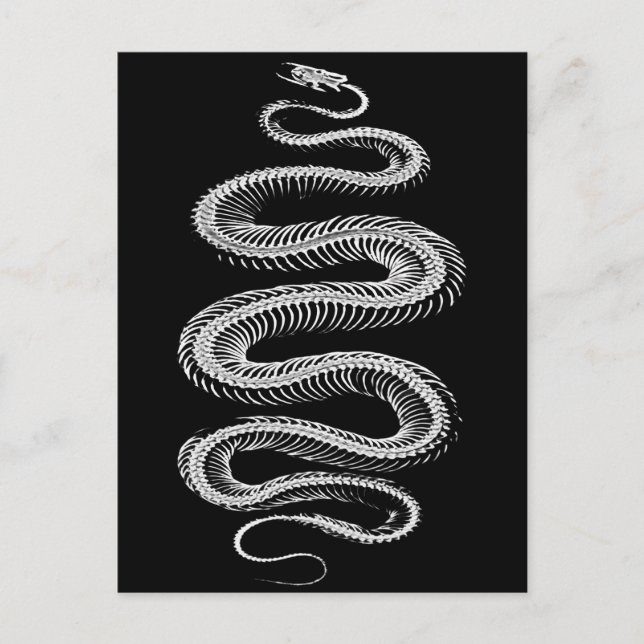 Carte Postale Squelette de serpent coulissant (Devant)