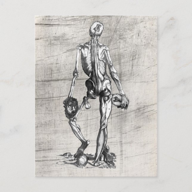 Carte Postale Squelette debout sur le crâne (Devant)