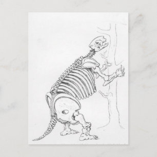 Carte Postale Squelette d'un Mylodon