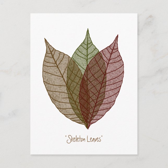 Carte Postale Squelette Feuille (Devant)